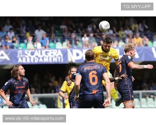 布莱顿巧妙转会操作赢得高性价比评价 成功引援打造强大阵容 布莱顿巧妙转会操作赢得高性价比评价 成功引援打造强大阵容