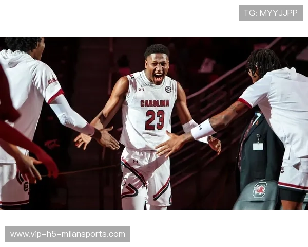 延边龙鼎锋线新星连线默契