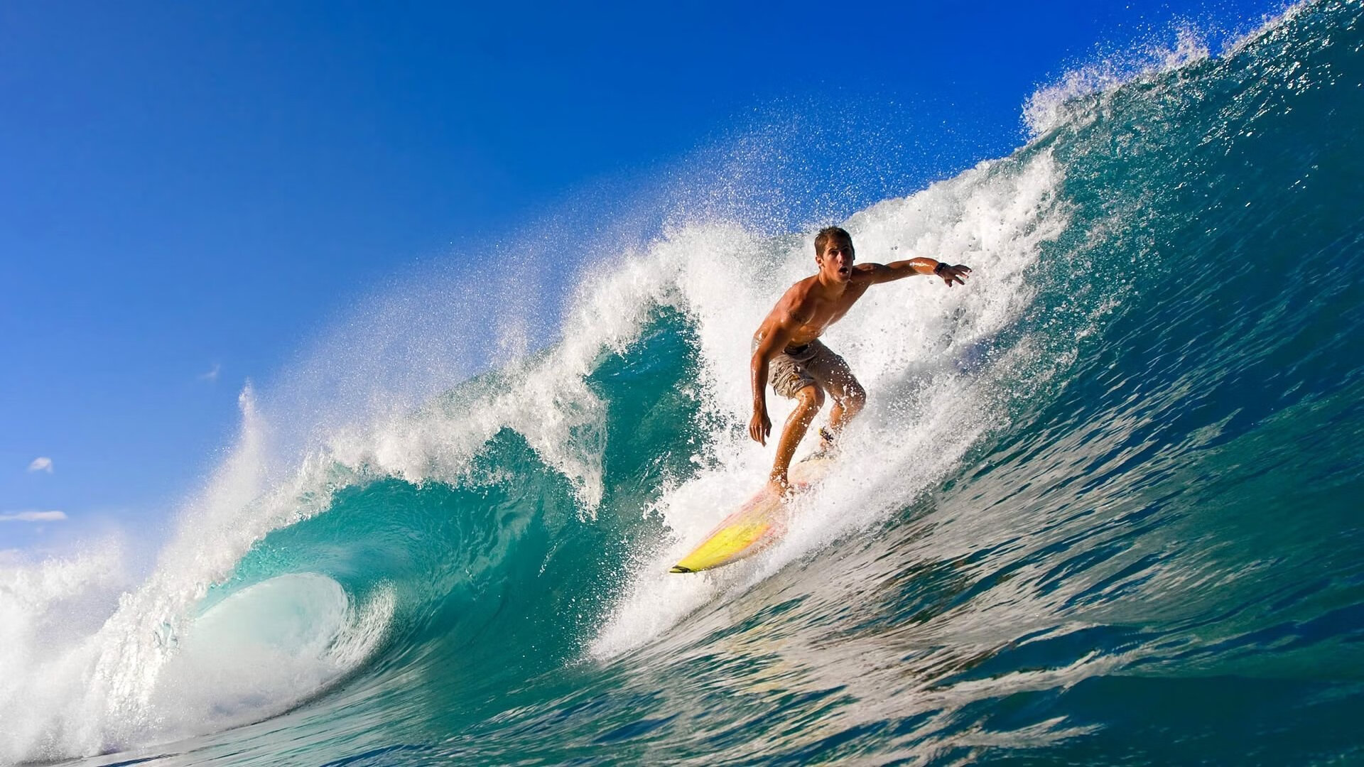 “南非羚羊队萨尔·巴赫闪耀赛场,带领球队迎接挑战”