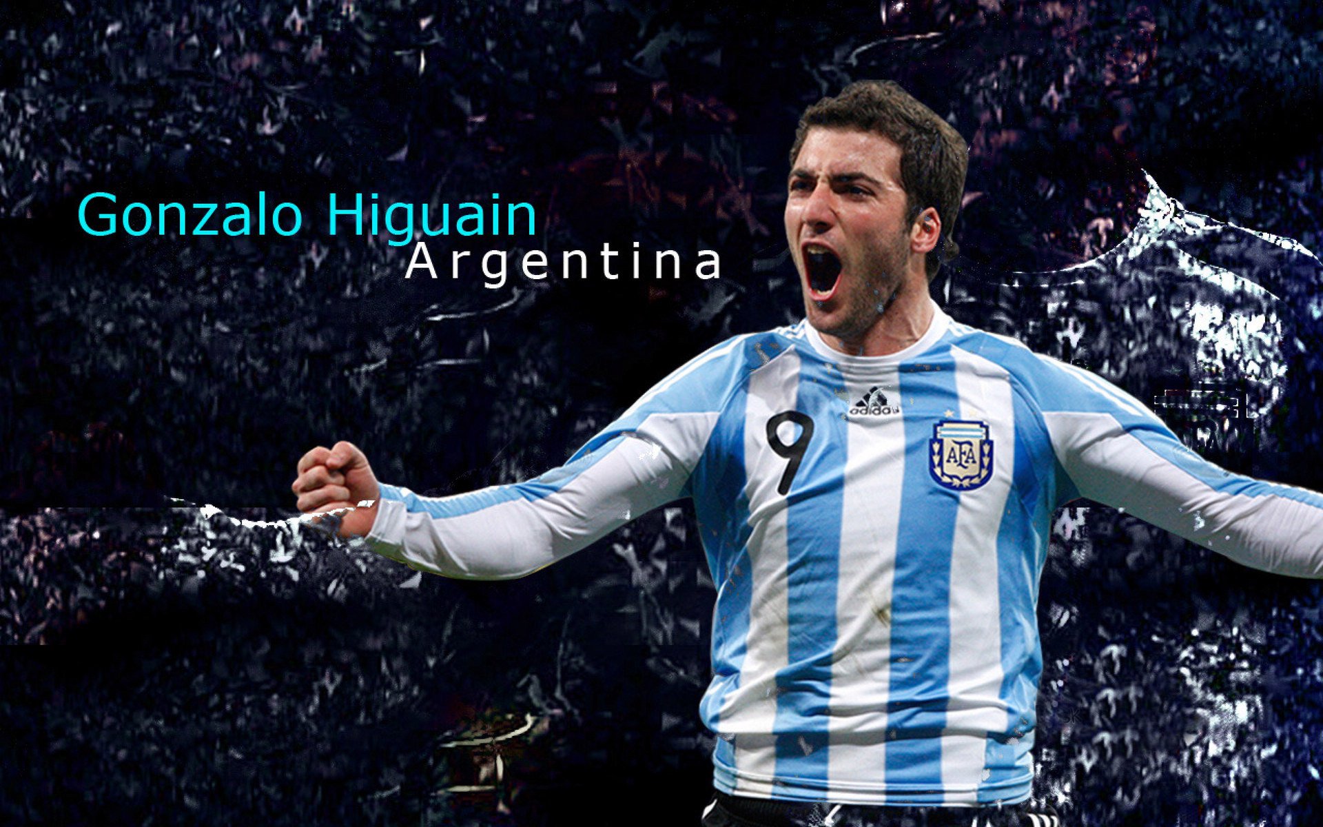 “舞步疾风，挑战极限！金牛区城北体育馆成全球运动舞蹈高手的竞技舞台”